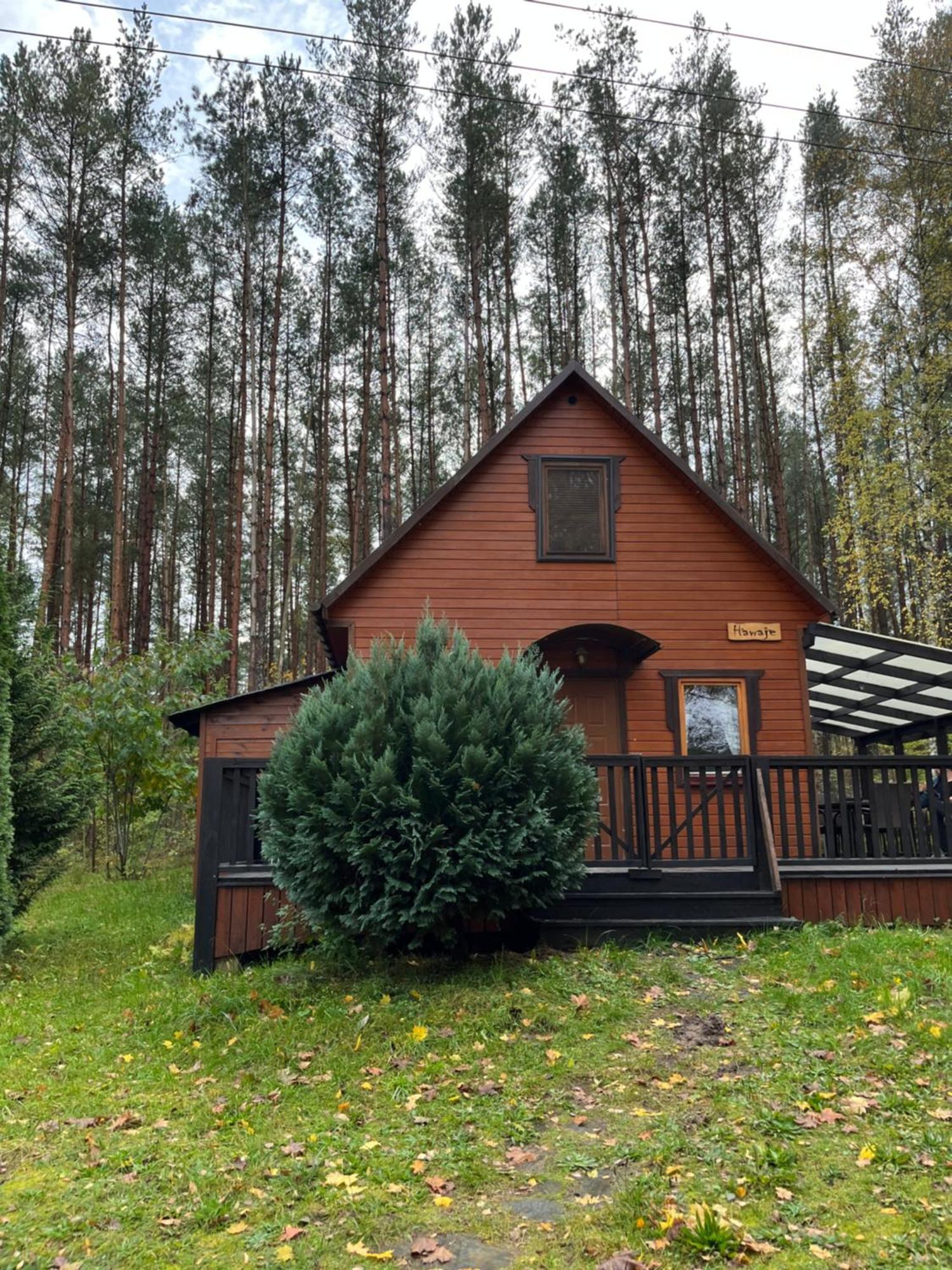 Domek Caloroczny Hawaje Nad Jeziorem Kazub Cieciorka Экстерьер фото